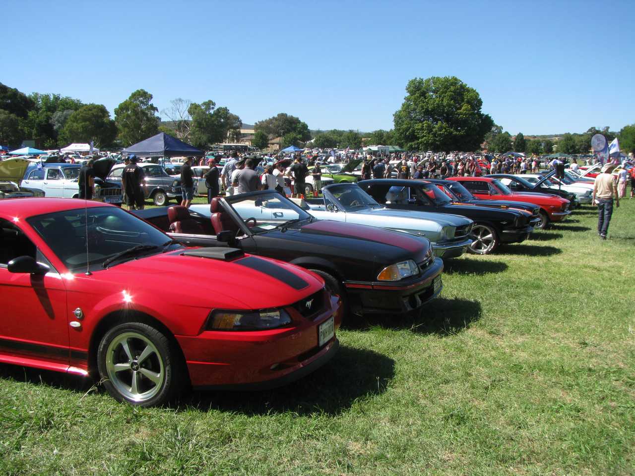 Photo of vehicle at CACTMC's Shannons Wheels 2021